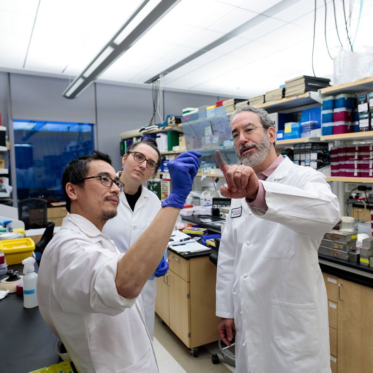 Researchers looking at a sample in a bag